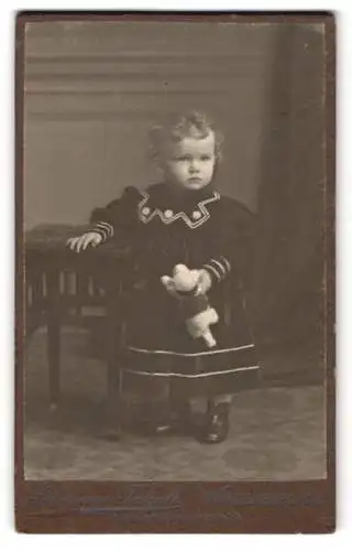 Fotografie Johannes Tatzelt, Waldenburg i. Schl., Kleinkind mit Stofftier