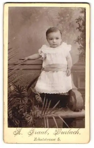 Fotografie H. Traub, Durlach, Zehnstrasse 5, Porträt eines Kleinkinds im Atelier