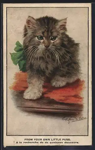 AK Grau-getigerte Katze mit grüner Schleife
