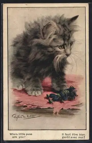 Künstler-AK sign. Valter: Kleine Katze mit Spielzeug