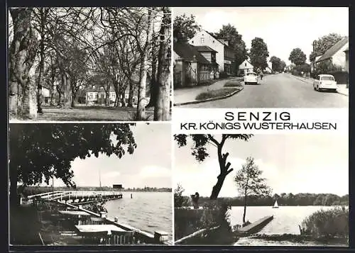 AK Senzig /Königs Wusterhausen, Strassenpartie, Seeterrasse mit Anlegesteg, Gebäudeansicht