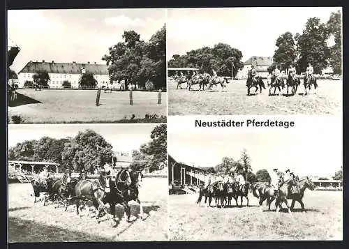 AK Neustadt /Dosse, Neustädter Pferdetage, Gestüt, Soldaten zu Pferde