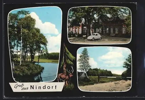 AK Nindorf /Rendsburg, Gebäudepanorama u. VW-Käfer, Seepartie, Hirsch