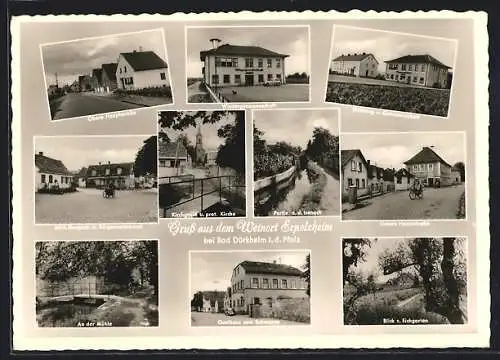 AK Erpolzheim /Bad Dürkheim, Gasthaus zum Schwanen A. Hubach, Winzergenossenschaft, Siedlung, Hauptstrasse