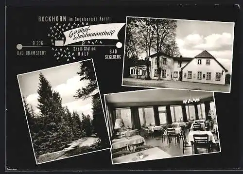 AK Bockhorn / Segeberg, Gasthof Waidmannsheil H. Steenbock, Waldpartie