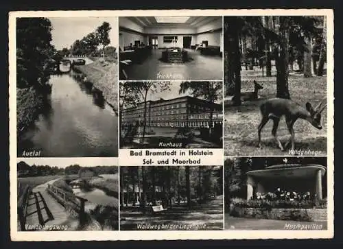 AK Bad Bramstedt in Holstein, Kurhaus, Trinkhalle, Musikpavillon und Verlobungsweg