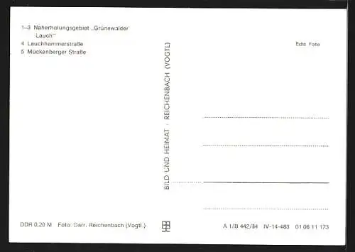 AK Grünewalde / Lausitz, Lauchhammerstrasse, Mückenberger Strasse, Campingplatz und Strandbad