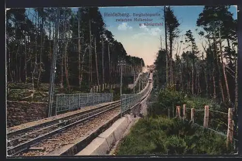 AK Heidelberg, Bergbahnpartie zwischen Molkenkur und Königstuhl
