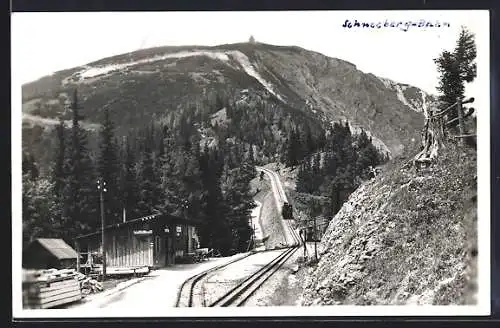 AK Puchberg am Schneeberg, Haltestelle Baumgarten der Zahnradbahn
