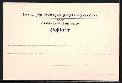 AK Harz-Zahnradbahn, Zahnstangeneinfahrt hinter Rübeland, Roman Abt, Erfinder des Zahnstangen-Systems