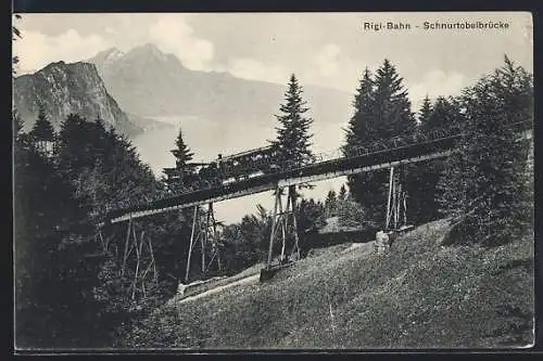 AK Rigi-Bahn passiert die Schnurtobelbrücke, Bergbahn