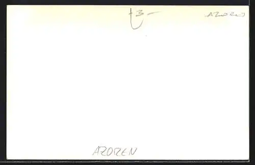 AK Azoren, Strassenpartie mit Bogen