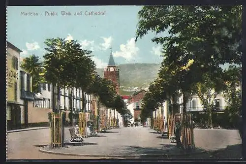 AK Madeira, Public Walk and Cathedral