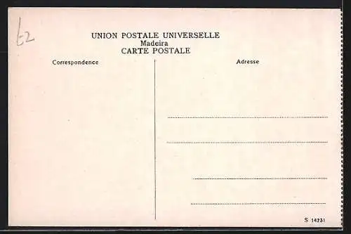 AK Madeira, Public Walk and Cathedral