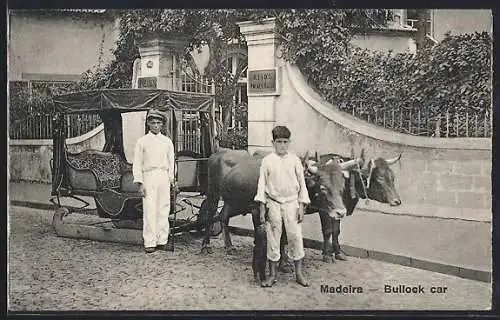 AK Madeira, Bullock car
