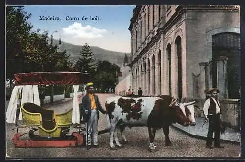 AK Madeira, Carro de bois, Ochsenschlitten