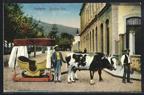 AK Madeira, Bullock Car