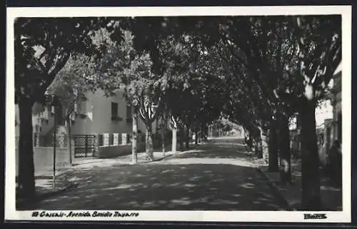 AK Cascais, Avenida Emidio Mayarro