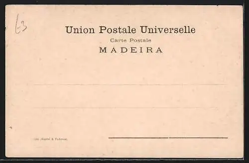 AK Funchal /Madeira, Panorama