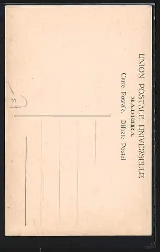 AK Madeira, Caminho do Monte, Descida de carros