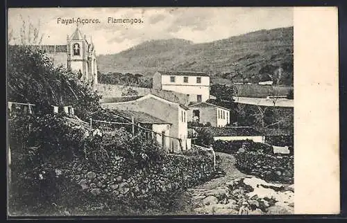 AK Fayal-Acores, Flamengos
