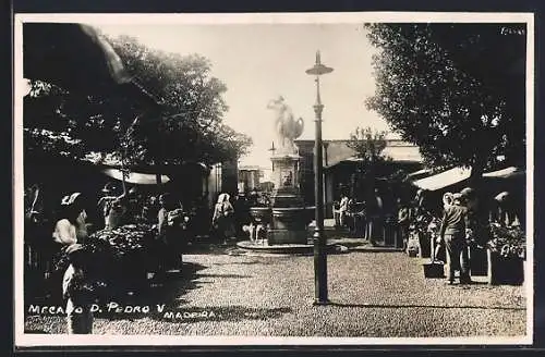 AK Madeira, Mercado D. Pedro