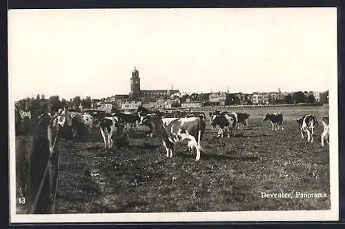 AK Deventer, Panorama