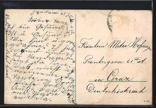 AK Zaandam, Gezicht op Koog Zaandijk