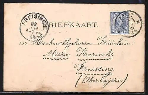 AK Zeist, Strassenpartien, Kirche, Rahmen mit Zweigen