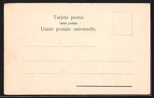 AK Rosario de la Frontera, Vista General