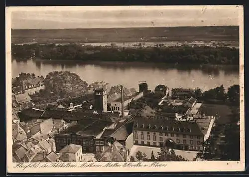 AK Eltville am Rhein, Blick auf die Sektkellerei Matheus Müller, Fliegeraufnahme