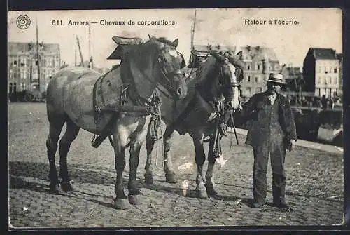AK Anvers, Chevaux de corporations, Retour à l`écurie