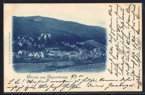 AK Elgersburg, Blick auf den Ort