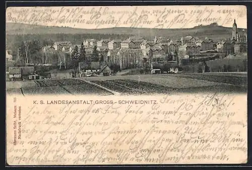 AK Gross-Schweidnitz, K. S. Landesanstalt