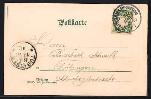 Lithographie Lindau / Bodensee, Ortsansicht mit Bergpanorama