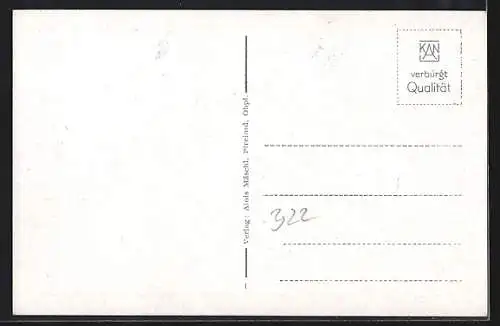 AK Pfreimd /Obpf., Flusspartie und Blick auf den Ort