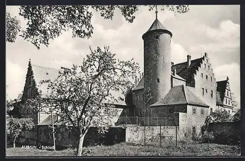 AK Aub Ufr., Partie am Schloss