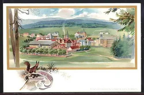 Lithographie Hahnenklee bei Goslar, sonniger Blick auf Stadt, Eichhörnchen