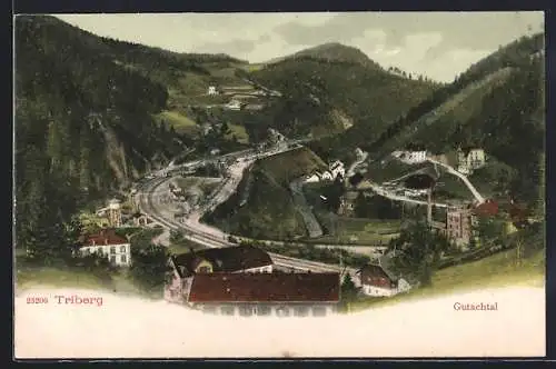 AK Triberg, Blick auf das Gutachtal