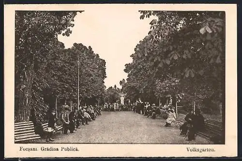 AK Focsani, Gradina Publica, Volksgarten