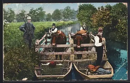 AK Ochsen-Transport auf Kähnen im Spreewald