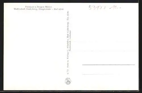 AK Muffendorf, Totalansicht und Teilansicht der Hauptstrasse, Godesburg