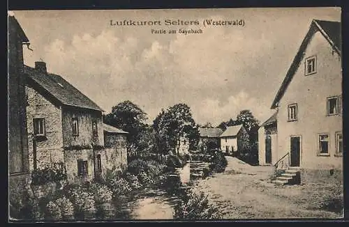 AK Selters / Westerwald, Partie am Saynbach