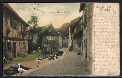 AK Weinheim / Bergstrasse, Partie an der Gerberbach mit Gänsen
