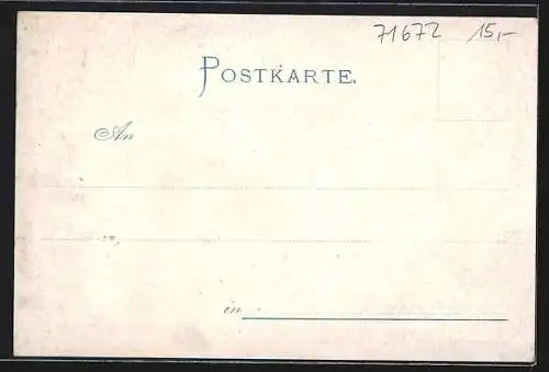 Lithographie Marbach a. N., Schiller-Denkmal, oberer Thorthurm, Schiller-Haus