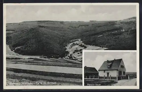 AK Presberg / Rheingau, Pension Bauer, Grolochpartie