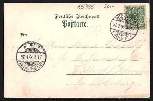 Lithographie Rüdesheim, Nationaldenkmal a. d. Niederwald, Strassenpartie, Ortsansicht mit Weinbergen