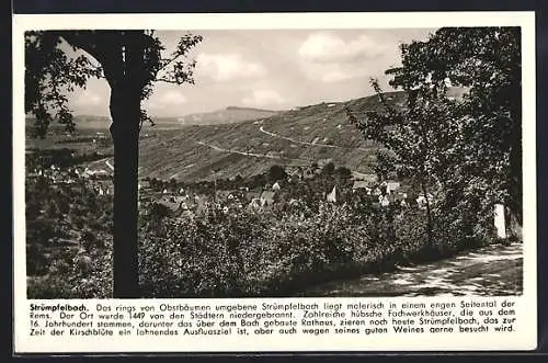 AK Strümpfelbach, Blick von den Obstbäumen auf die Ortschaft