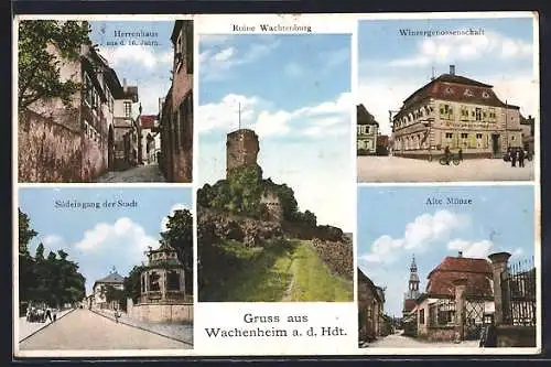 AK Wachenheim a. d. Hdt., Gasthaus der Winzergenossenschaft, Herrenhaus aus d. 16. Jahrh., Ruine Wachtenburg