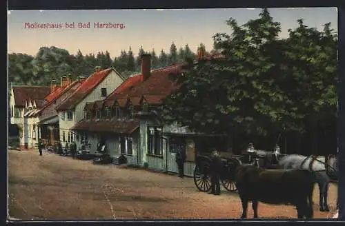 AK Bad Harzburg, Kutsche vor dem Gasthaus Molkenhaus